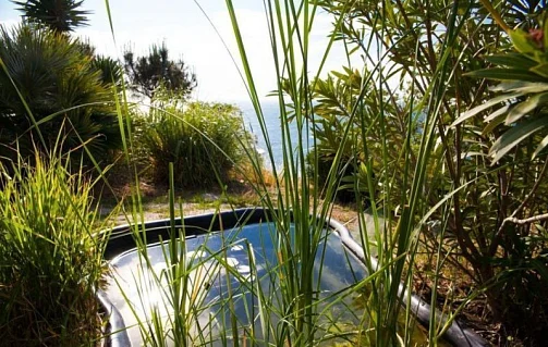 "Лесной дом" частный сектор, Ялта Фото: 10 из 51