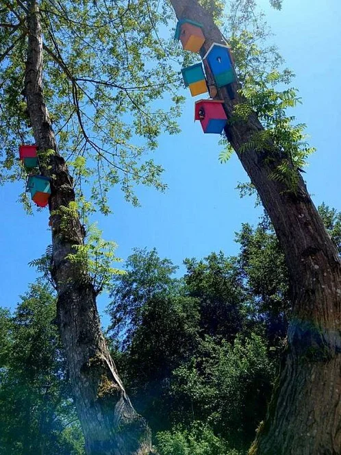 "Слобода" база отдыха, Тамыш Фото: 7 из 16