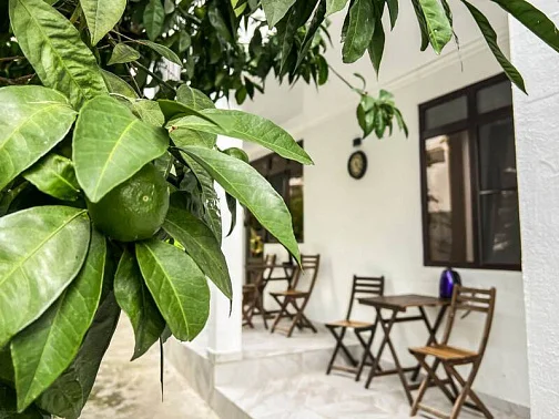 "Вилла Мария" мини-гостиница, Новый Афон Фото: 35 из 51