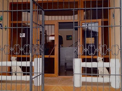 "Визит" мини-гостиница, Сухум Фото: 3 из 45