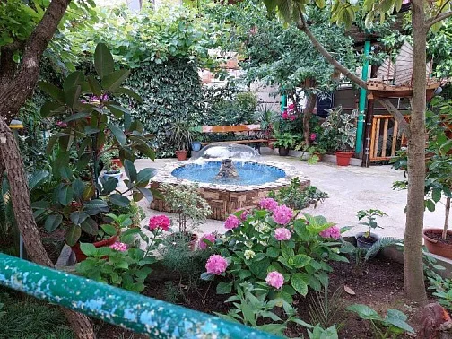 Мини-гостиница Осетинская 15, Гагра Фото: 6 из 51