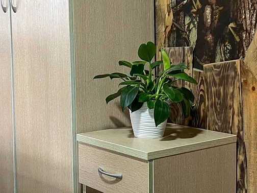 "Вилла Мария" мини-гостиница, Новый Афон Фото: 40 из 51