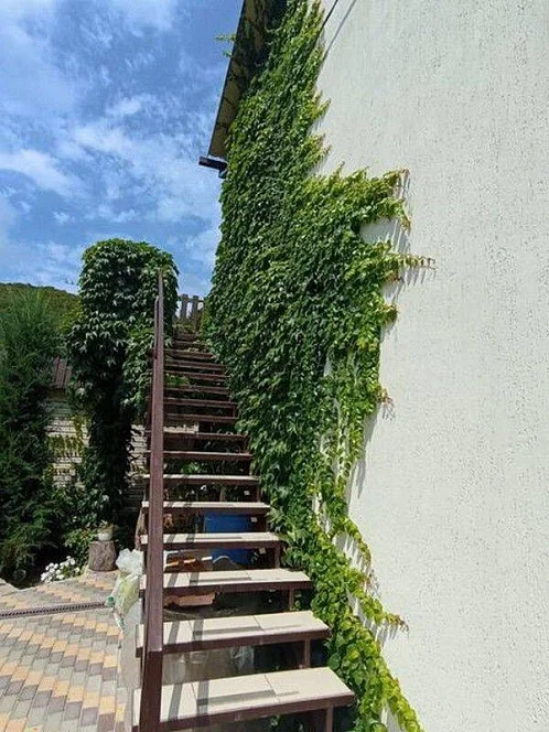 "Людмила" гостевой дом, Ольгинка Фото: 2 из 41