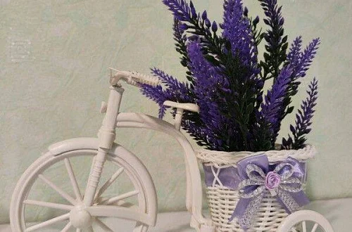 Квартира-студия Фото: 12 из 22