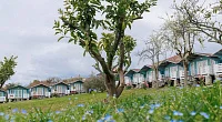 "Мандарин" база отдыха, Приморское