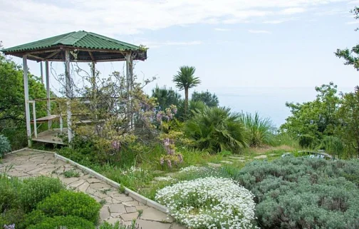 "Лесной дом" частный сектор, Ялта Фото: 7 из 51