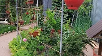 "Танюша" частное домовладение, Малореченское