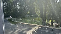 "Бора" гостевой дом, Пицунда