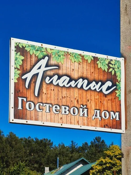 "Аламыс" гостевой дом, Пицунда Фото: 41 из 41