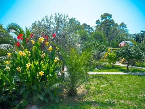 "Мэри" гостиница, Новый Афон Фото: 23 из 51