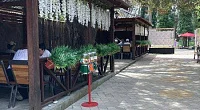 "Тис" гостевой дом, Лдзаа