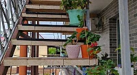 "На Камышовой" частный сектор, Сириус