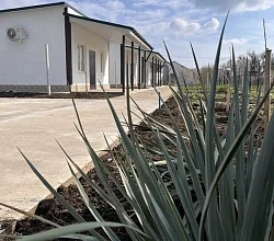 "Белый Лик" гостевой дом