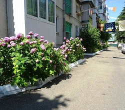 3х-комнатная квартира Лазарева 80