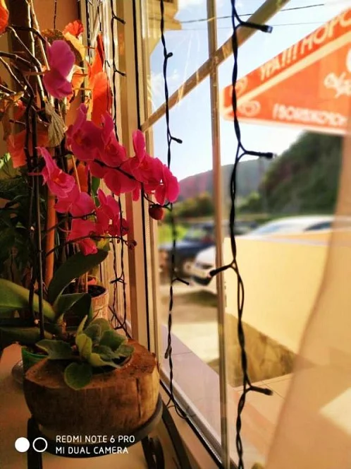 "Орхидея" гостевой дом, Ольгинка Фото: 18 из 41