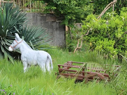 "Золотой Огонёк" гостевой дом, Цандрипш Фото: 3 из 4