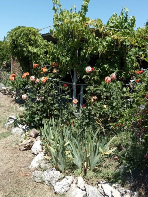 "НАШ КАЗАНТИП" гостевой дом, Новоотрадное Фото: 11 из 51