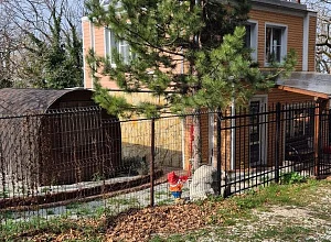 "Домик в лесу с баней" дом  Дивноморское