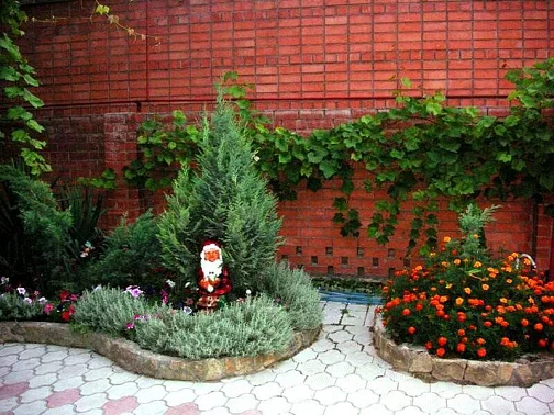 Частный сектор Владимирская 50, Анапа Фото: 6 из 17