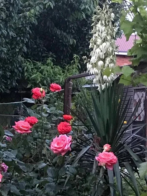 "Надежда" дом под-ключ, Ейск Фото: 19 из 21
