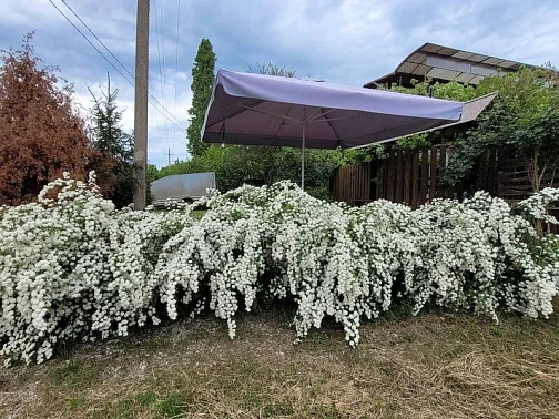 "Персиковый сад" частный сектор, Береговое Фото: 8 из 51