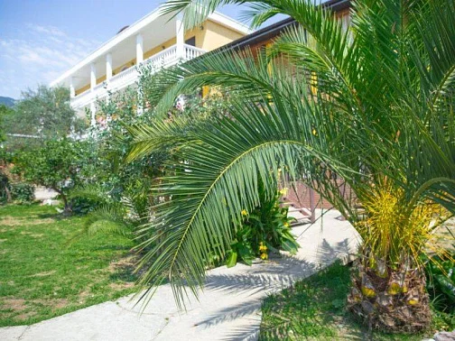 "Мэри" гостиница, Новый Афон Фото: 7 из 51