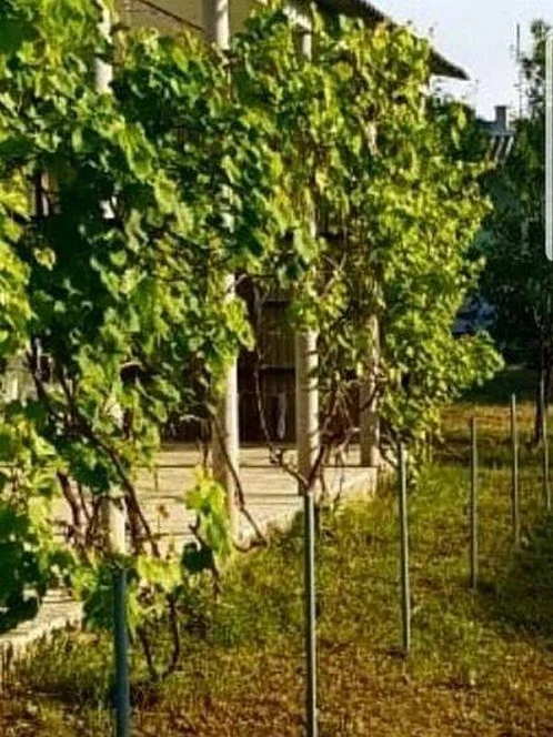 "Маргаритка" 2х-комнатный дом под-ключ, Заозерное Фото: 15 из 23