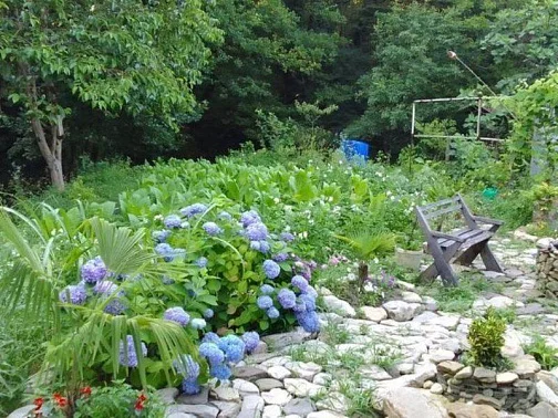 "Анна" гостевой дом, Волконка Фото: 16 из 39
