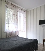 "Комфорт с балконом 2х-комнатная"