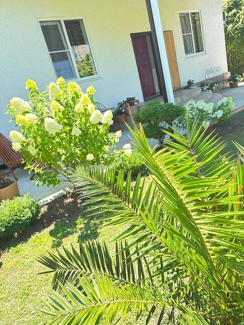 "Лаймлайт" гостевой дом, Гагра Фото: 9 из 50