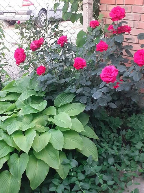 "На Курортной" частный сектор, Курортное Фото: 4 из 34