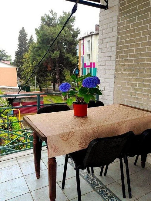 "S&S" частное домовладение, Лазаревское Фото: 5 из 49