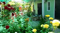 "Арго" частный сектор, Ейск