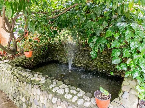 "Самсар" гостевой дом, Дагомыс Фото: 6 из 50