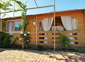 "Рыжий лев" дом 