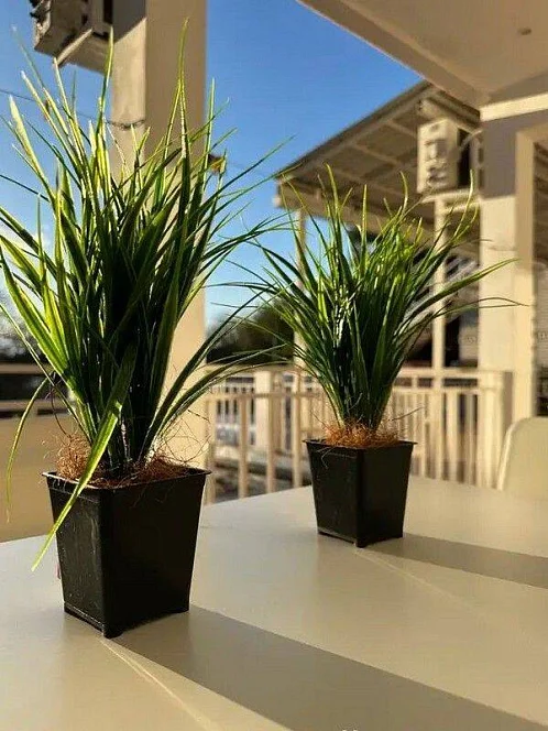 "Елизавета" частный сектор, Геленджик Фото: 7 из 23