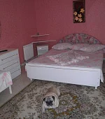 "Улучшенный" 2х-местный