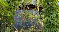 "Лето" частный сектор, Адлер