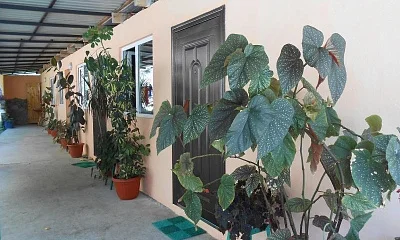 "Летний Рай" частный сектор, Лдзаа Фото: 1 из 50