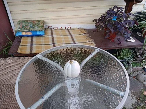 1-комнатная квартира Приреченская 169, Адлер Фото: 3 из 4