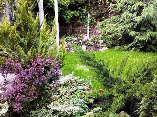 "Елизавета" частный сектор, Геленджик Фото: 9 из 23