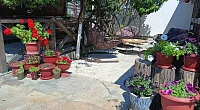 "У Ардаша" частный сектор, Алахадзы