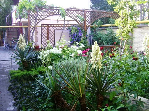 "Флагман" гостевой дом, Анапа Фото: 3 из 40