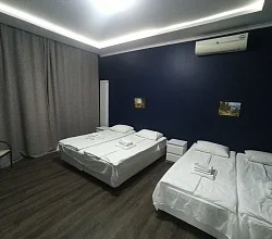 1-комнатная квартира Надежды 8/2