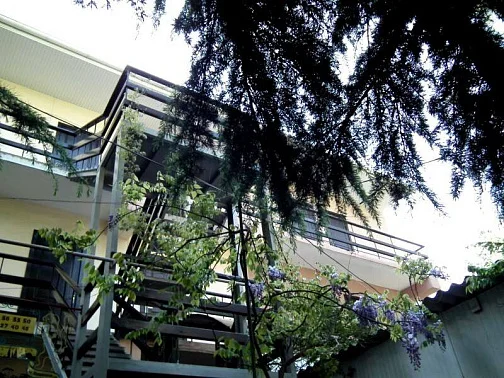 "Мечта" база отдыха, Гурзуф Фото: 2 из 51