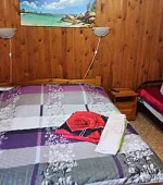 "Стандарт" 5-местный с диваном-кроватью (35 кв. м.)