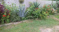 Частный сектор Монашенское ущелье 7, Пицунда