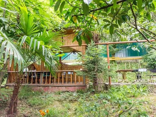 "Самсар" гостевой дом, Дагомыс Фото: 8 из 50