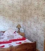 "Стандарт" "Стандарт"