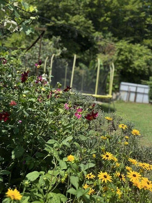 "Летний Рай" частный сектор, Лдзаа Фото: 7 из 50